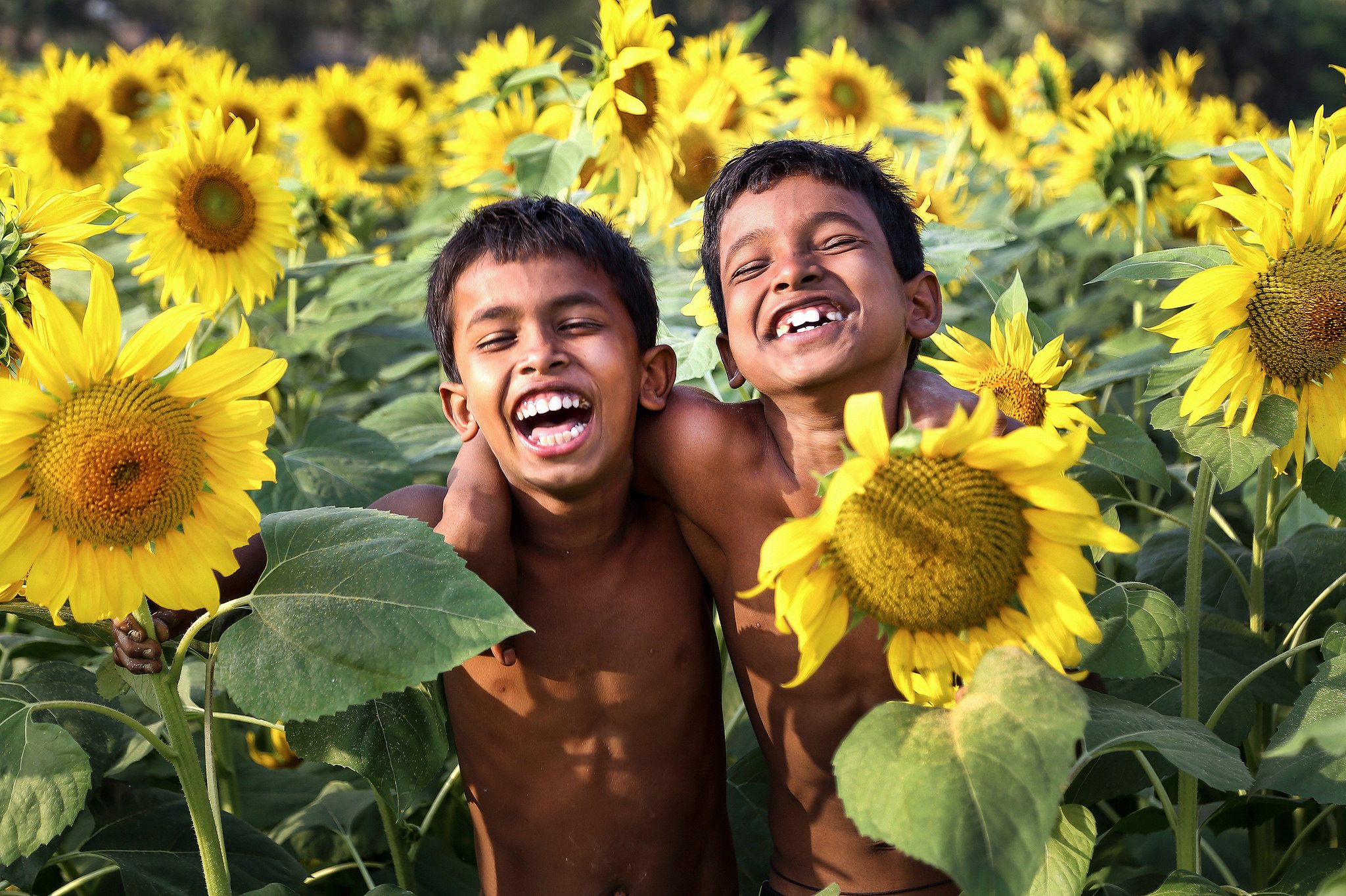 Beautiful Mind - Sandipani Chattopadhyay - India