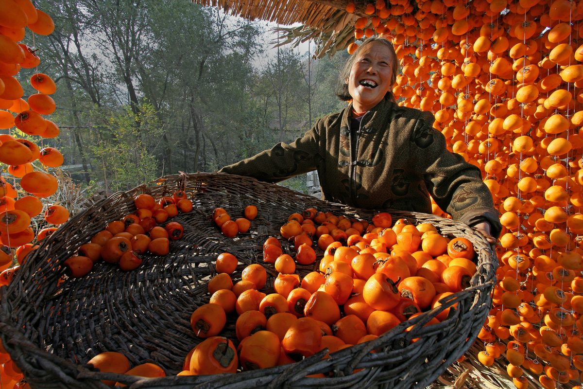 'Harvest' - Peng Yuan - China