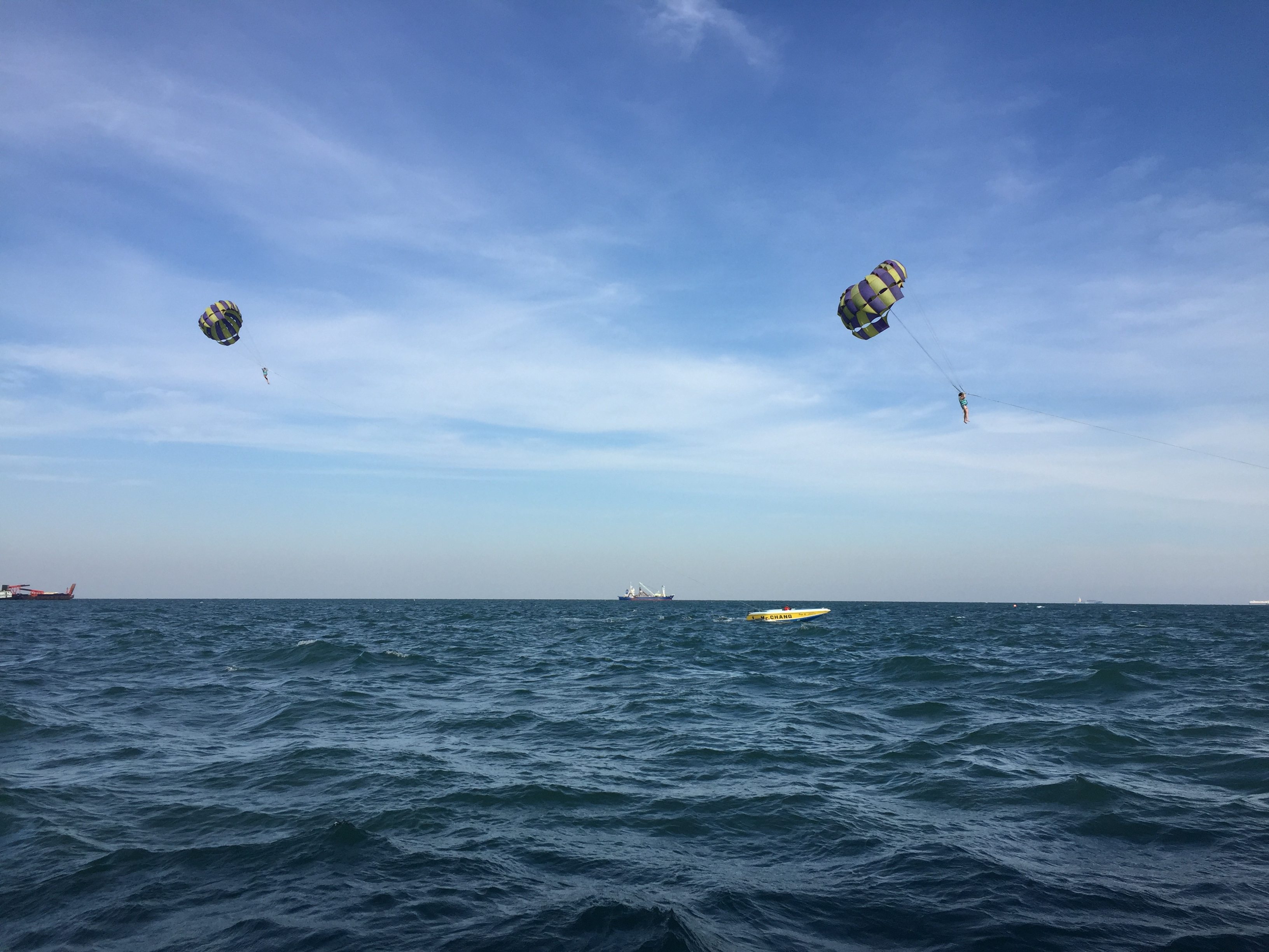 'Facing the Sea, With Spring Blossoms' - Lianyue Zhang