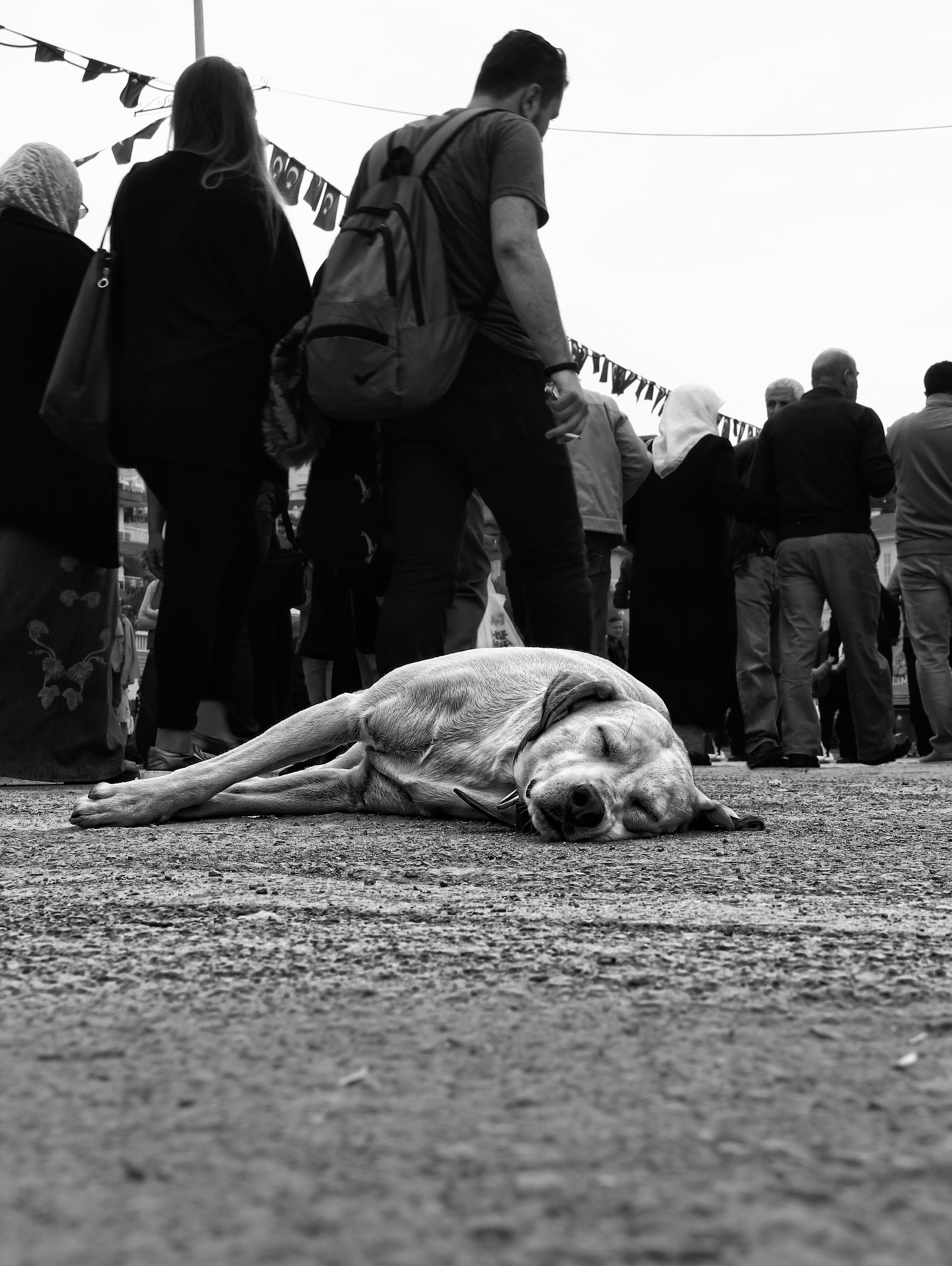 'Seizure and crowd' - Niloufar Farhadi