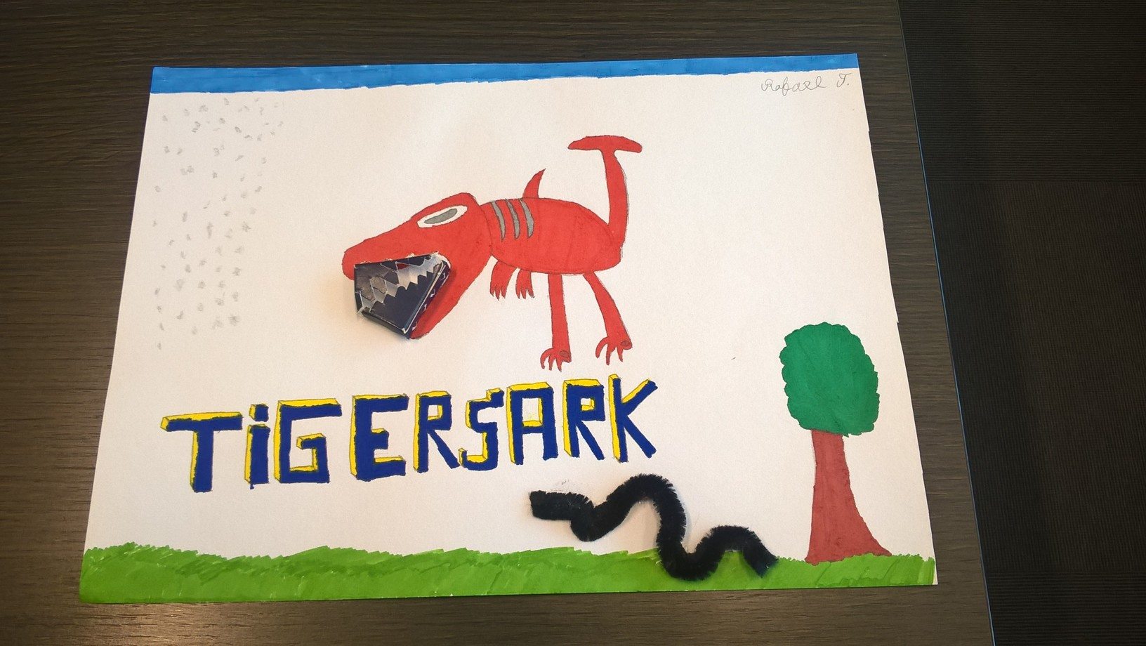 'Tigershark' - Rafael Teixeira