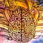 'Hylephobia: The Fear of Epilepsy' - Lee Antill